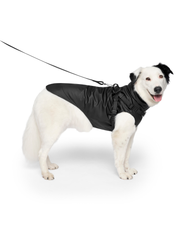 2-In-1 Dog Harness Raincoat in Black