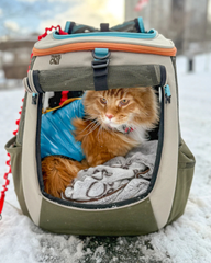 "The Catagonia" Water-Resistant Harness Puffer Jacket for Cats