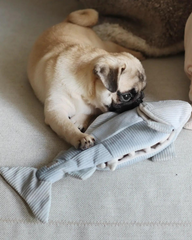2-IN-1 Burrow + Snuggle Trout Fish Dog Toy