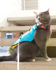 "The Catagonia" Water-Resistant Harness Puffer Jacket for Cats