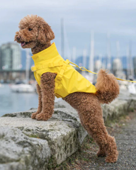 2-In-1 Dog Harness Raincoat in Yellow