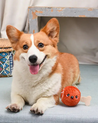 2-in-1 Squeaky Turkey Leg Dog Ball