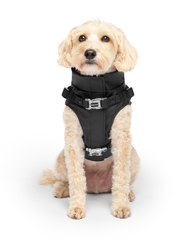 2-In-1 Dog Harness Raincoat in Black