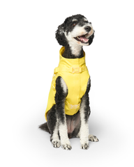 2-In-1 Dog Harness Raincoat in Yellow