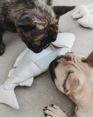 2-IN-1 Burrow + Snuggle Trout Fish Dog Toy