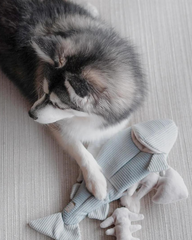 2-IN-1 Burrow + Snuggle Trout Fish Dog Toy