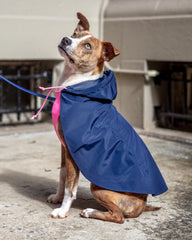 Action Jacket Pull-On Raincoat in Navy + Neon Pink (Made in NYC)