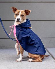 Action Jacket Pull-On Raincoat in Navy + Neon Pink (Made in NYC)