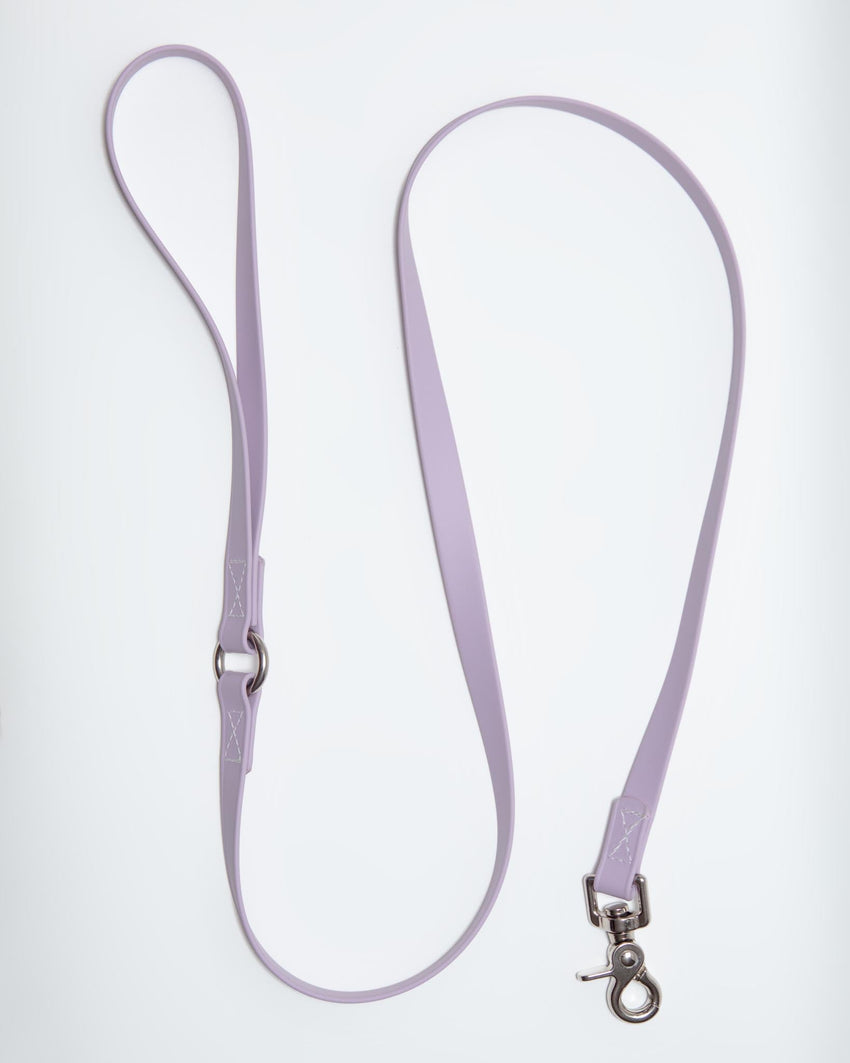A Walk in the Park Dog Leash in Lilac (Made in the USA)