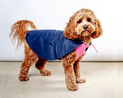 Action Jacket Pull-On Raincoat in Navy + Neon Pink (Made in NYC)