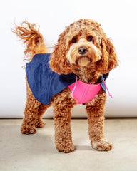 Action Jacket Pull-On Raincoat in Navy + Neon Pink (Made in NYC)