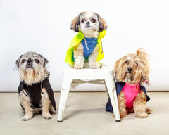 Action Jacket Pull-On Raincoat in Navy + Neon Pink (Made in NYC)