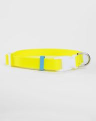 A Walk in the Park Dog Collar in Neon Yellow (Made in the USA)