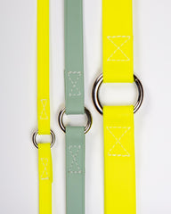 A Walk in the Park Dog Leash in Neon Yellow (Made in the USA)