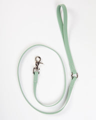 A Walk in the Park Dog Leash in Sage Green (Made in the USA)