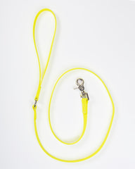 A Walk in the Park Dog Leash in Neon Yellow (Made in the USA)