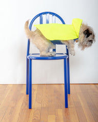 Action Jacket Dog Pull-On Raincoat in Safety Yellow + Blue (Made in NYC)
