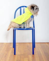 Action Jacket Dog Pull-On Raincoat in Safety Yellow + Blue (Made in NYC)