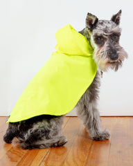 Action Jacket Dog Pull-On Raincoat in Safety Yellow + Blue (Made in NYC)