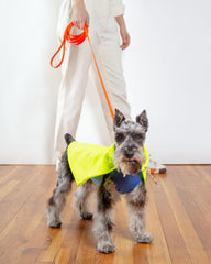 Action Jacket Dog Pull-On Raincoat in Safety Yellow + Blue (Made in NYC)