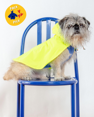 Action Jacket Dog Pull-On Raincoat in Safety Yellow + Blue (Made in NYC)