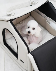 2-In-1 Pet Bed w/ Handles in Black or Beige (FINAL SALE)