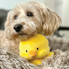 Chick Marshmallow Squisher Squeaky Plush Dog Toy