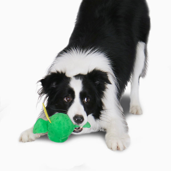 2-in-1 Dragon Ball Plush Dog Toy (FINAL SALE)